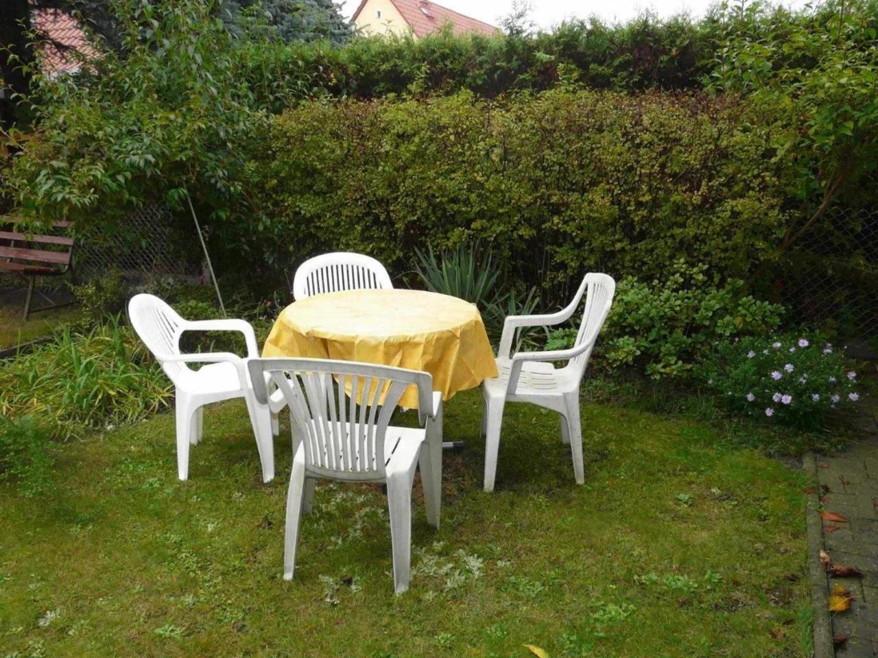 Ferienwohnung Winter Wittenberg Exteriör bild